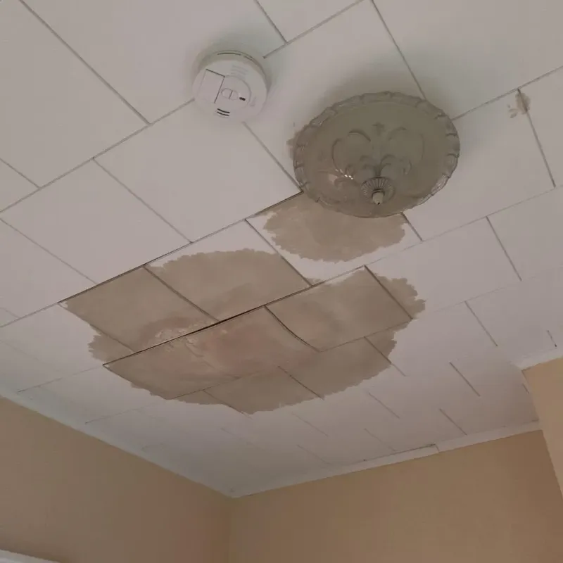 Ceiling Water Damage Repair in Jennings County, IN