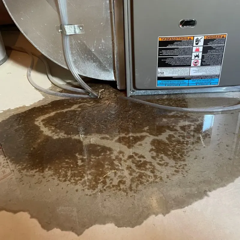Pipe Burst and Leak Restoration in Jennings County, IN