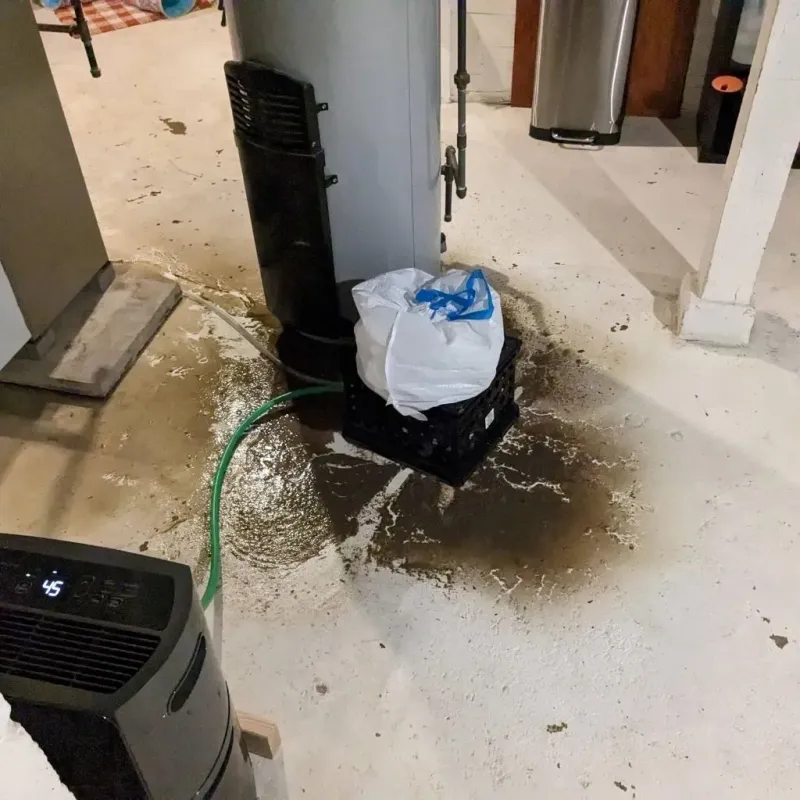 Sewage Backup Cleanup Service in Jennings County, IN